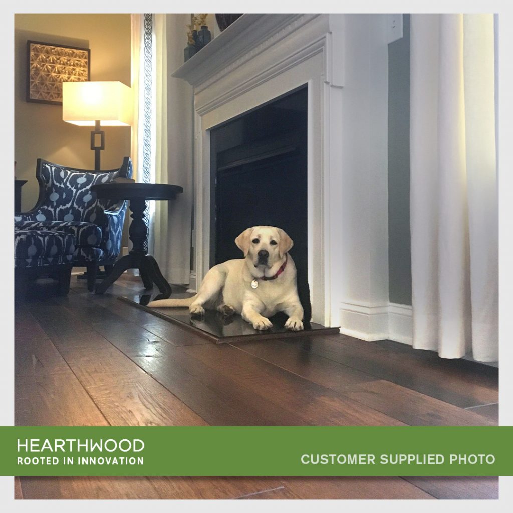 Customer of Hearthwood Floors shared pet image from her home