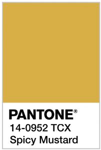 Pantone color swatch in Spicy Mustard